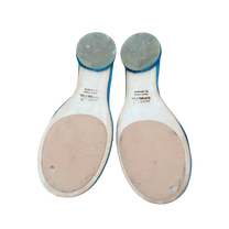 Sneshana Nekh Blue Mules