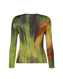 Turnip &amp; Spinach Top